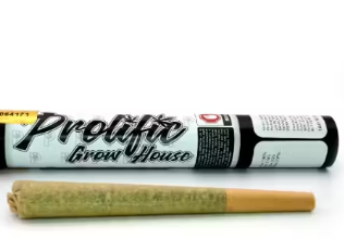 Photograph of product: Prolific - Frosted Flakes #27 1g Pre-Roll