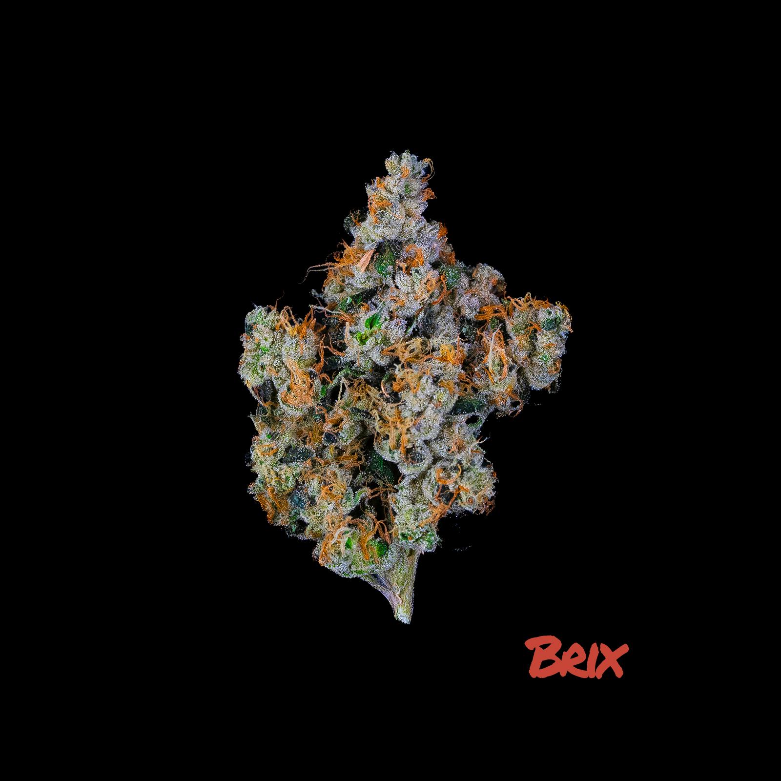 Photograph of product: Brix Flower 3.5g Black Cherry G (I)