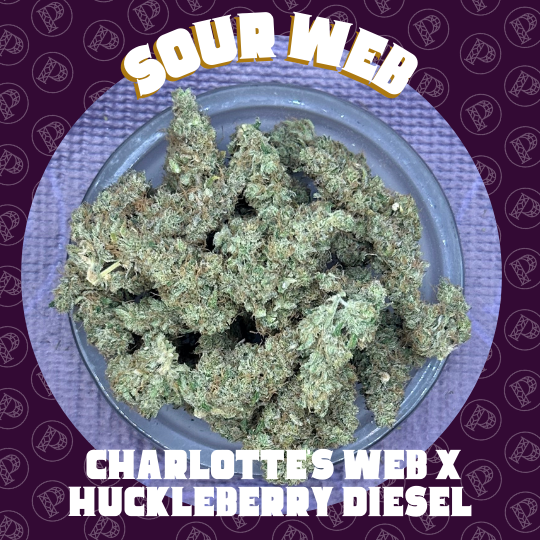 Photograph of product: Deep Creek - Sour Web - Flight Shelf Flower - 14g