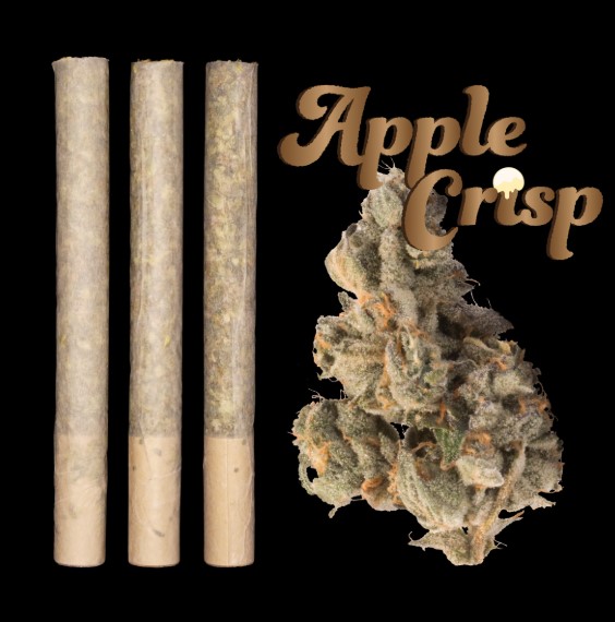 Photograph of product: Apple Crisp - Cannon 3pk - Nimbus