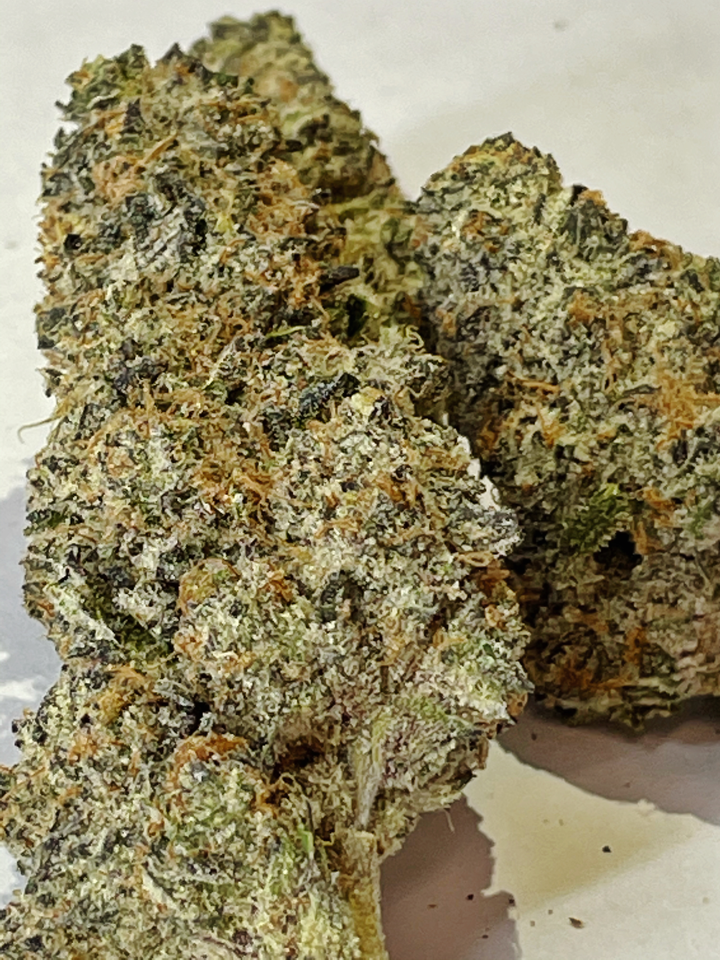 Photograph of product: Grape Pie x Animal Cookies (December '24 Harvest) - 3.5g