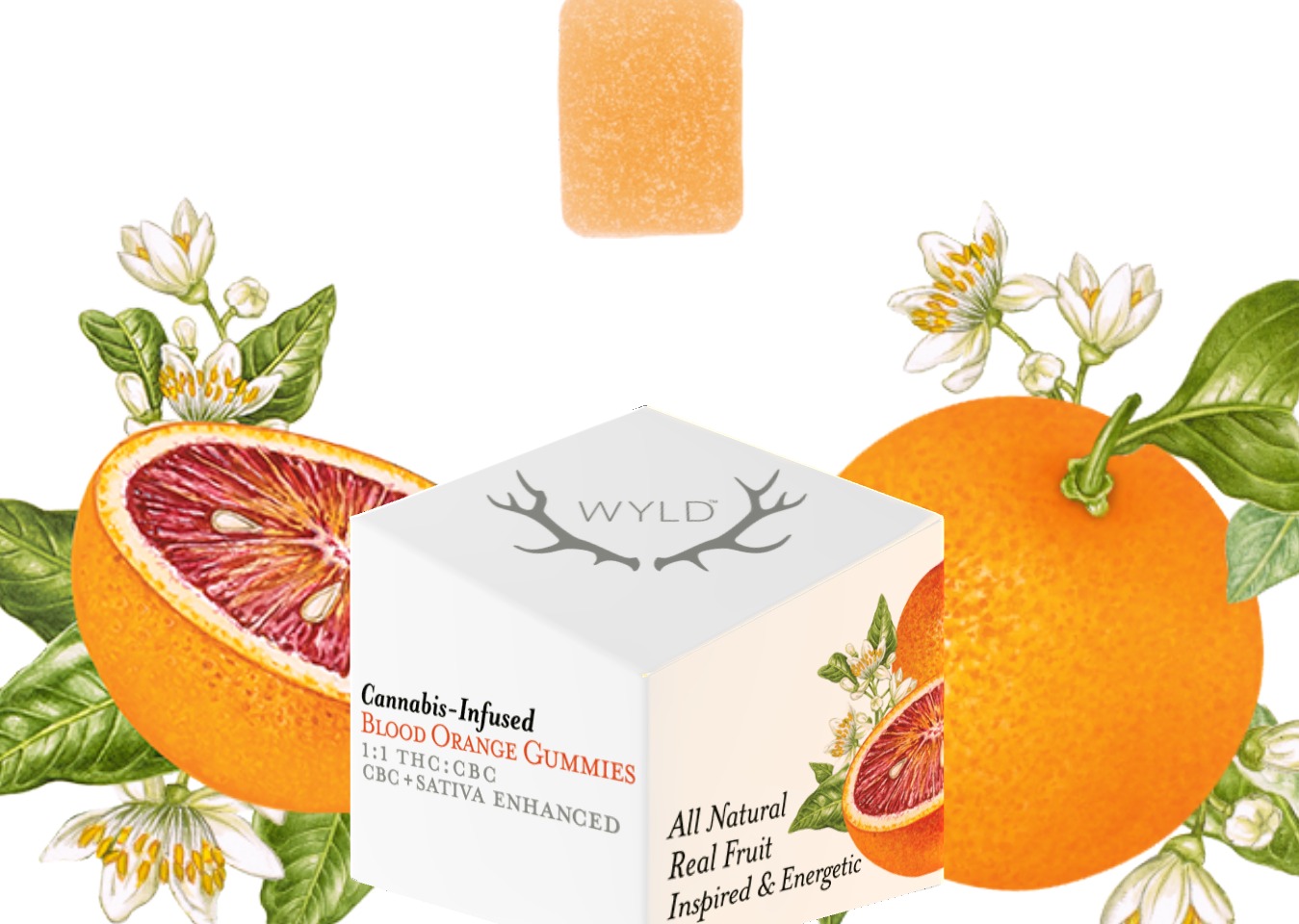 Photograph of product: Wyld - Blood Orange Gummies 1:1 - 100mg