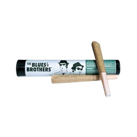 Photograph of product: Blue's Brothers Grape Gas PRJ (2ct)