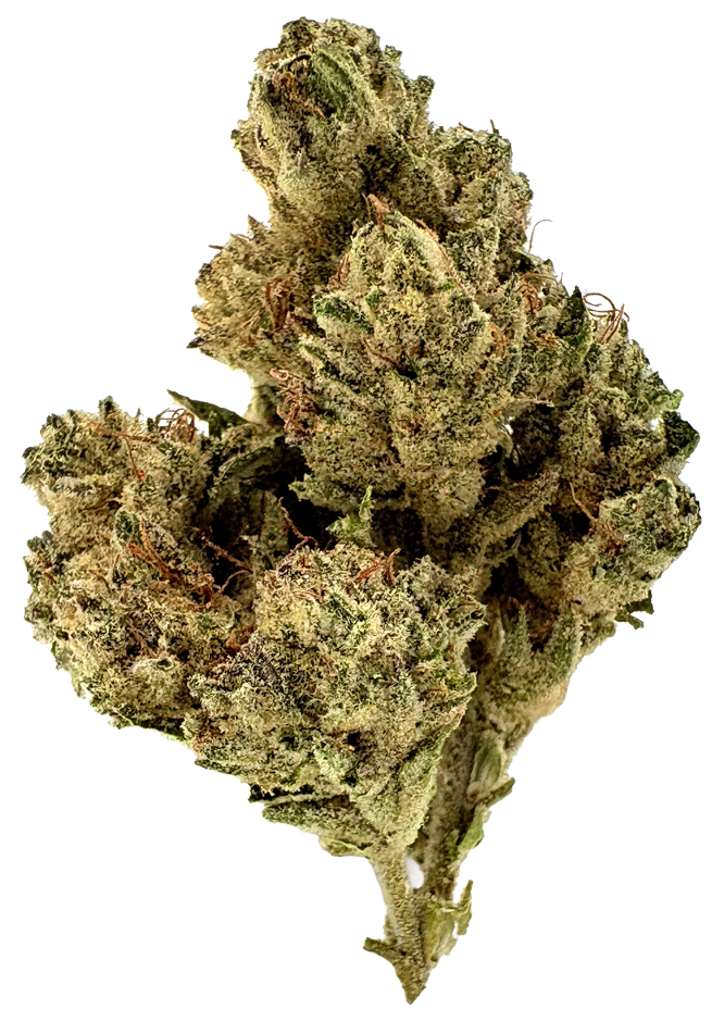 Photograph of product: Hill Craft Farms | Euroz | 14G