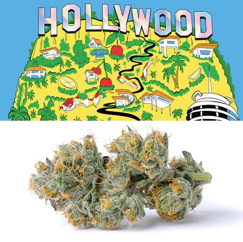 Photograph of product: Hollywood I Littles I 7g I Cookies