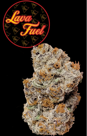 Photograph of product: Flower  - Lava Fuel - 3.5g