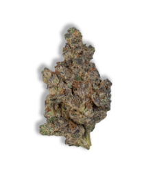 Photograph of product: LA Pop Rocks x Mimosa - 3.5g