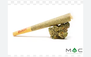 Photograph of product: Juniper Jive Pre-Roll | 1g