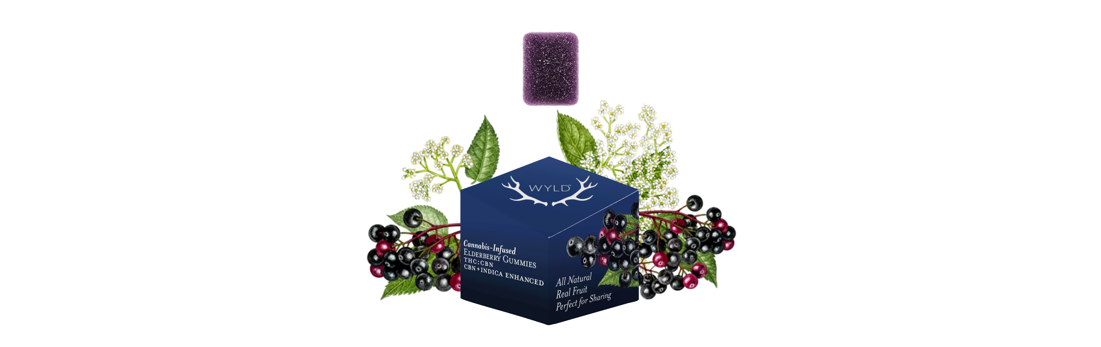 Photograph of product: Elderberry 1: ummies CBN:TH-oui 10x10mg 100mg