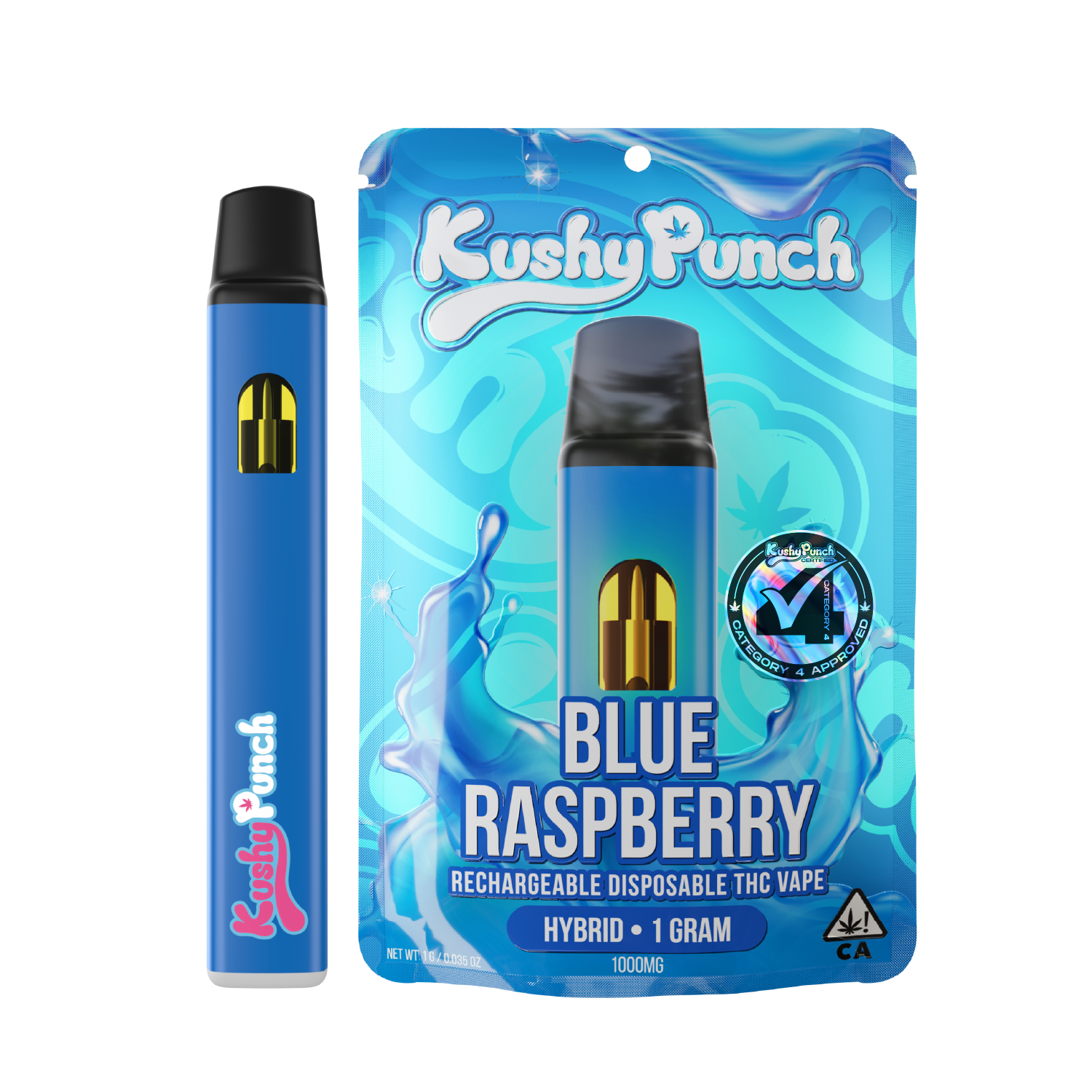 Photograph of product: Blue Raspberry Disposable | 1g