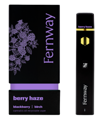 Photograph of product: Fernway - Berry Haze | 1G Disposable