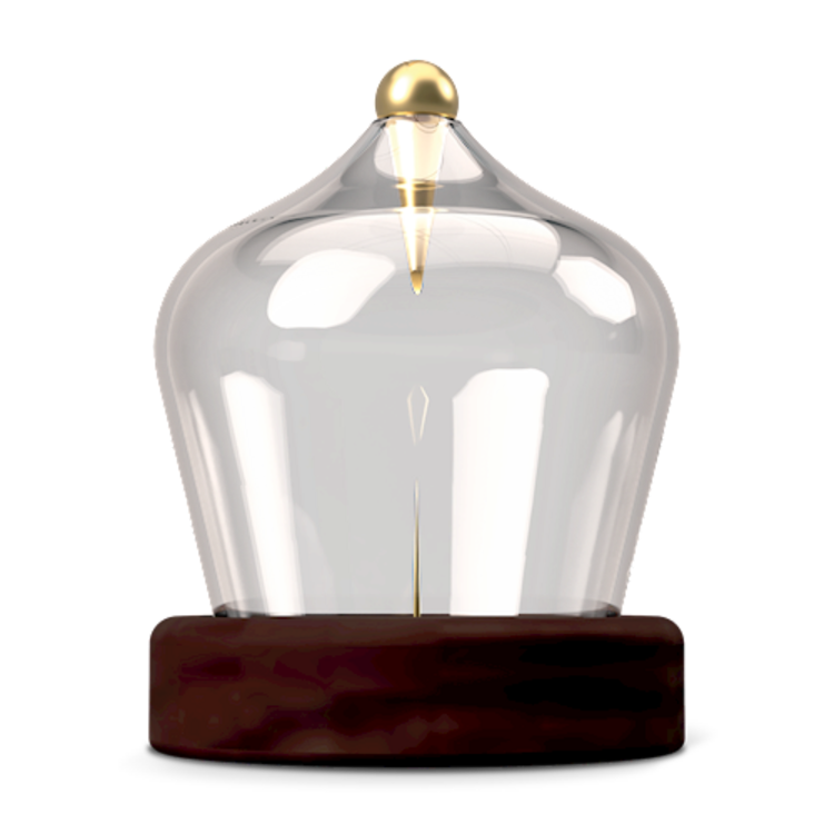 Photograph of product: Classic au chocolat Dome