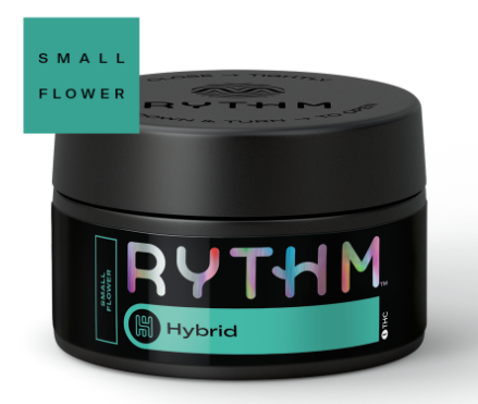 Photograph of product: Popcorn Flower | Rythm | Permanent Marker - 7g