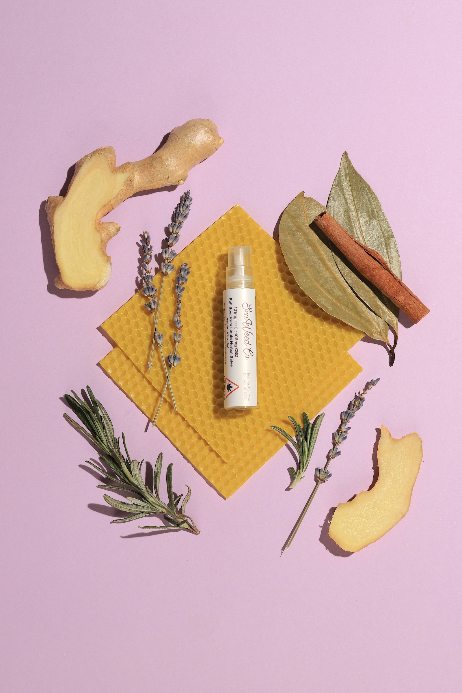 Photograph of product: SWC / MerryMeeting Bay Hemp Co - Northern Lights - Infused Salve - Pump Bottle - 121 mg TH-oui