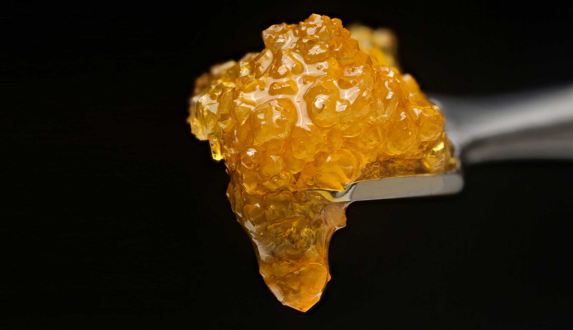 Photograph of product: Concentrate | Live Resin | Gastro Pop Uniq Pressure