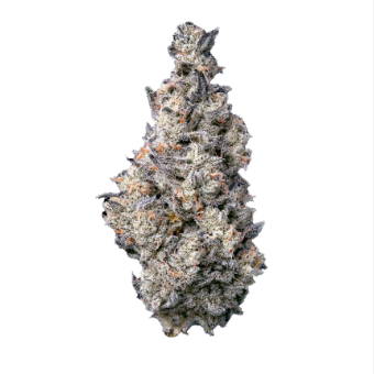 Photograph of product: DONUT SHOP SMALLS QUARTER (7 GRAMS)
