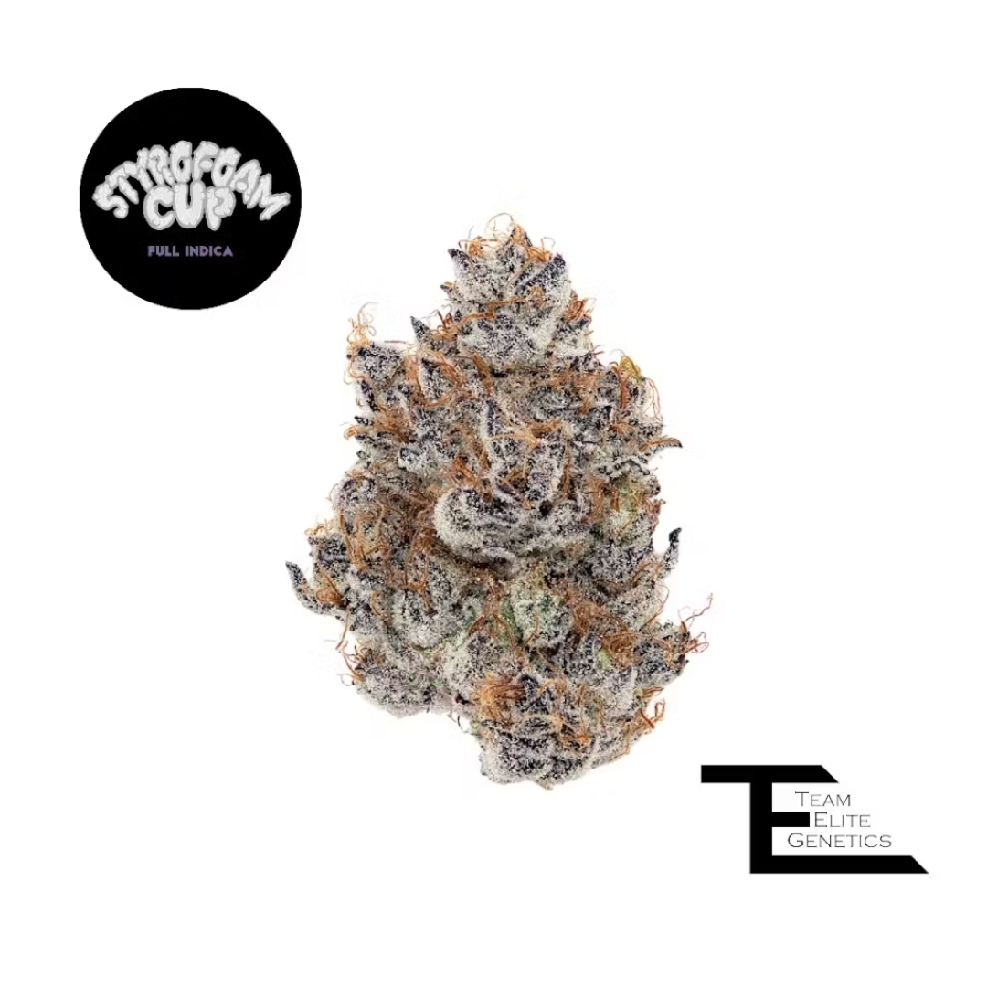 Photograph of product: Team Elite Genetics - Styrofoam Cup (Oui'd) Premium Flower - 14g