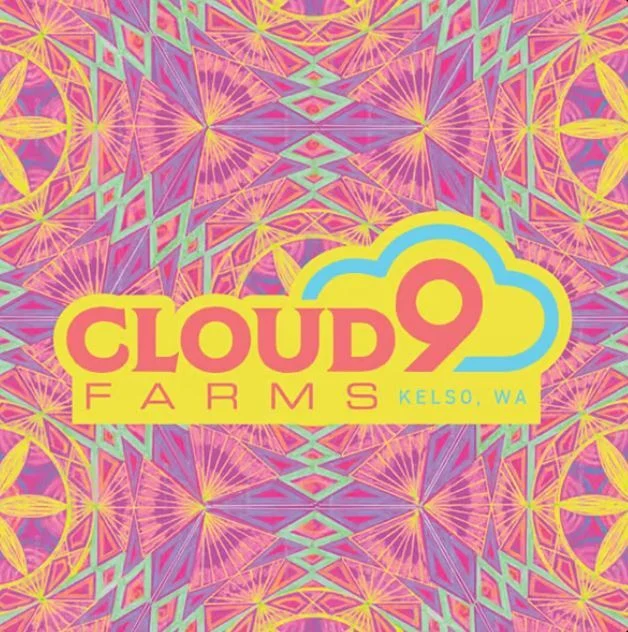 Photograph of product: Cloud 9 - Galactic Stick - Infused Preroll - 1g