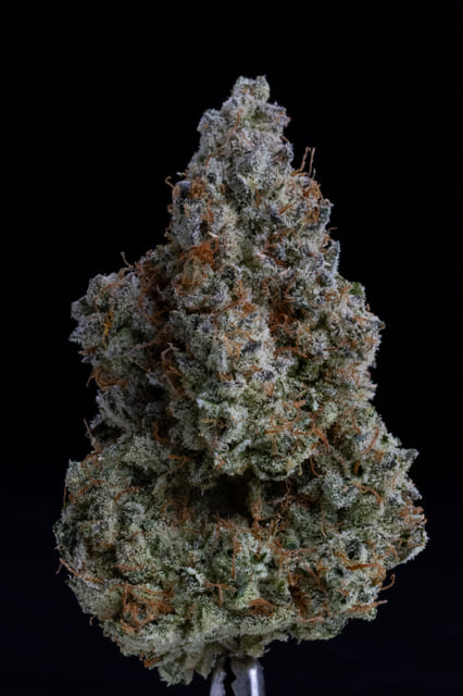 Photograph of product: Grumpy Tiger - eighth