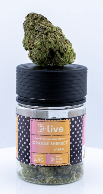 Photograph of product: E4 | Orange Sherbet 3.5g Flower | Live