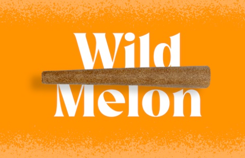 Photograph of product: Wild Melon - Infused Blunt