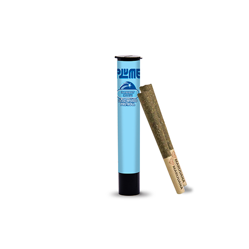 Photograph of product: Blueberry Cream - 2pk Infused Pre-rolls - 1g