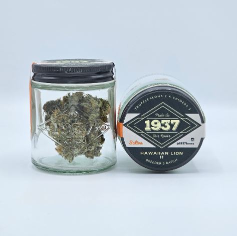 Photograph of product: Hawaiian Lion 11 - 1g