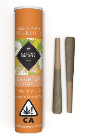 Photograph of product: Blue Dream (S) "Brighter Day" 2pk PREROLLS - Garden Society