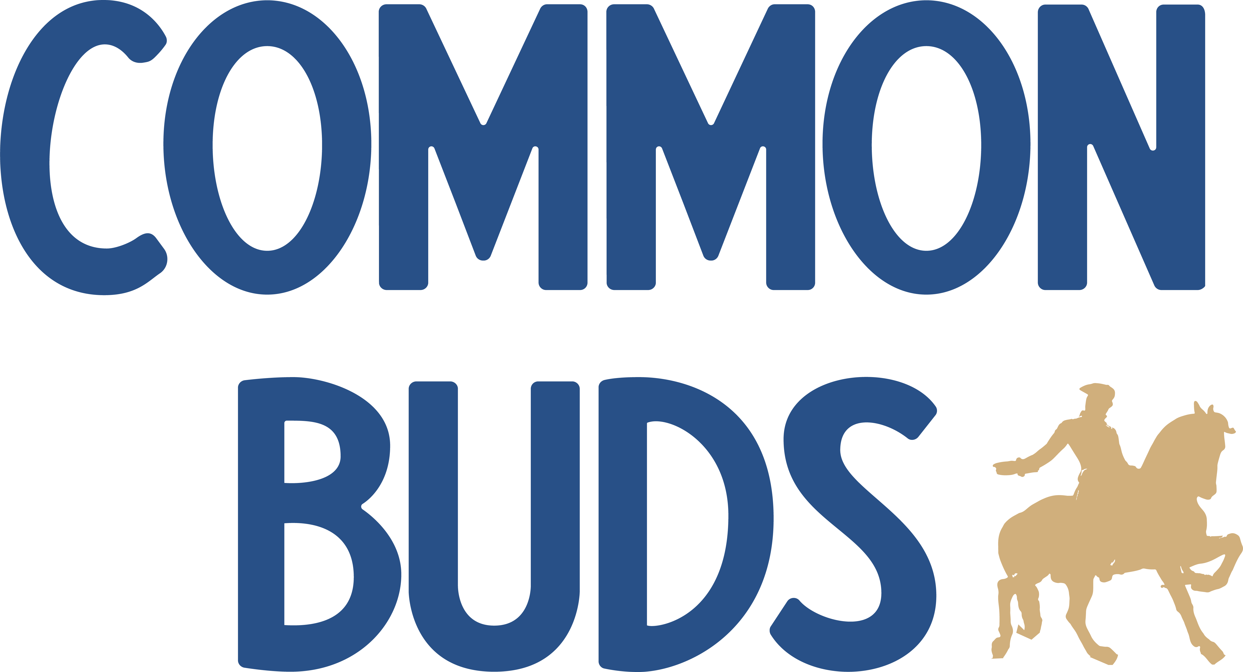 Photograph of product: Pre-Roll | 28pk | Truffle Cake & BrrBerry