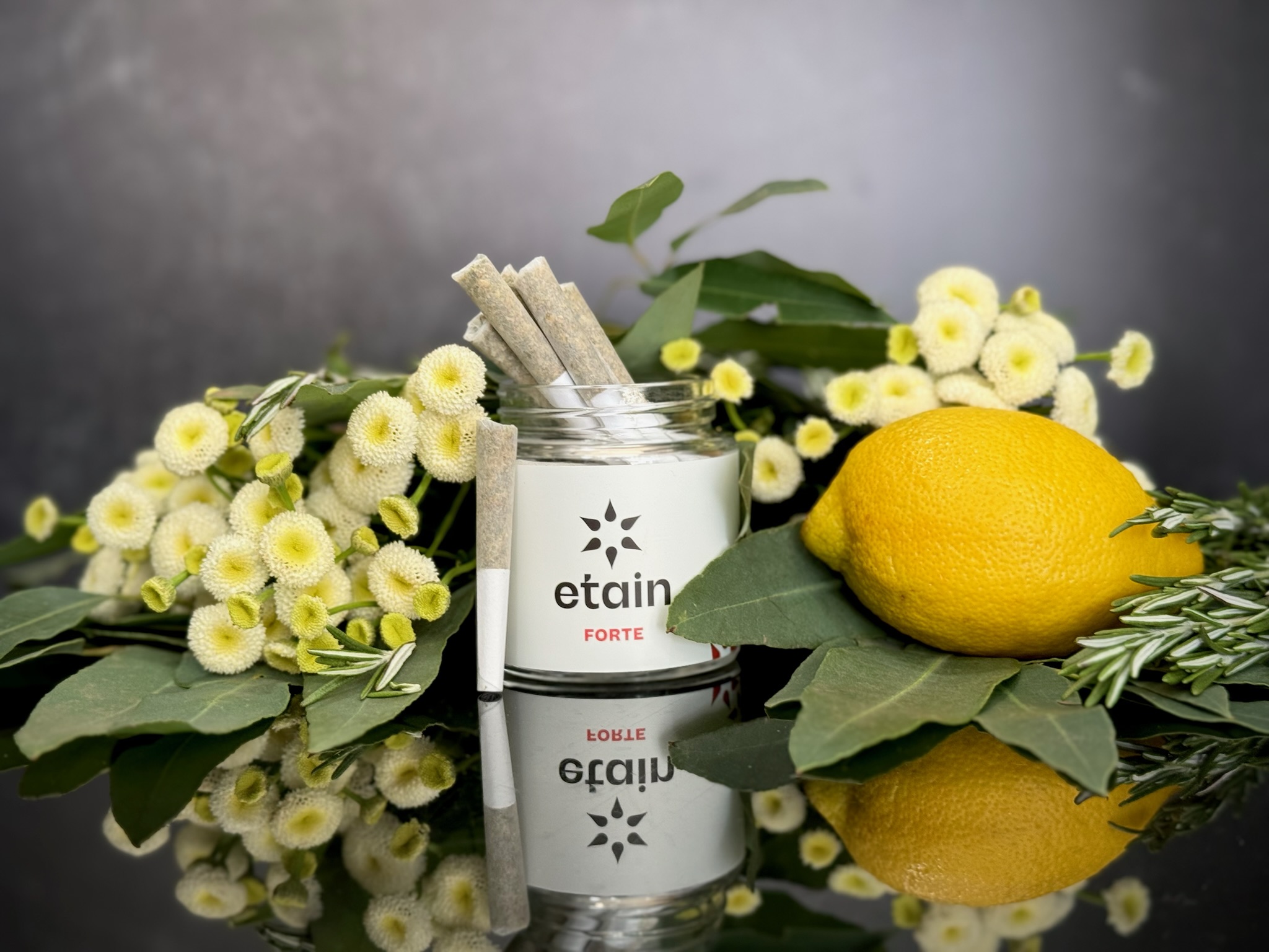 Photograph of product: Etain | Forte - Secret Meetings | 1.0g/1pk Pre-Roll