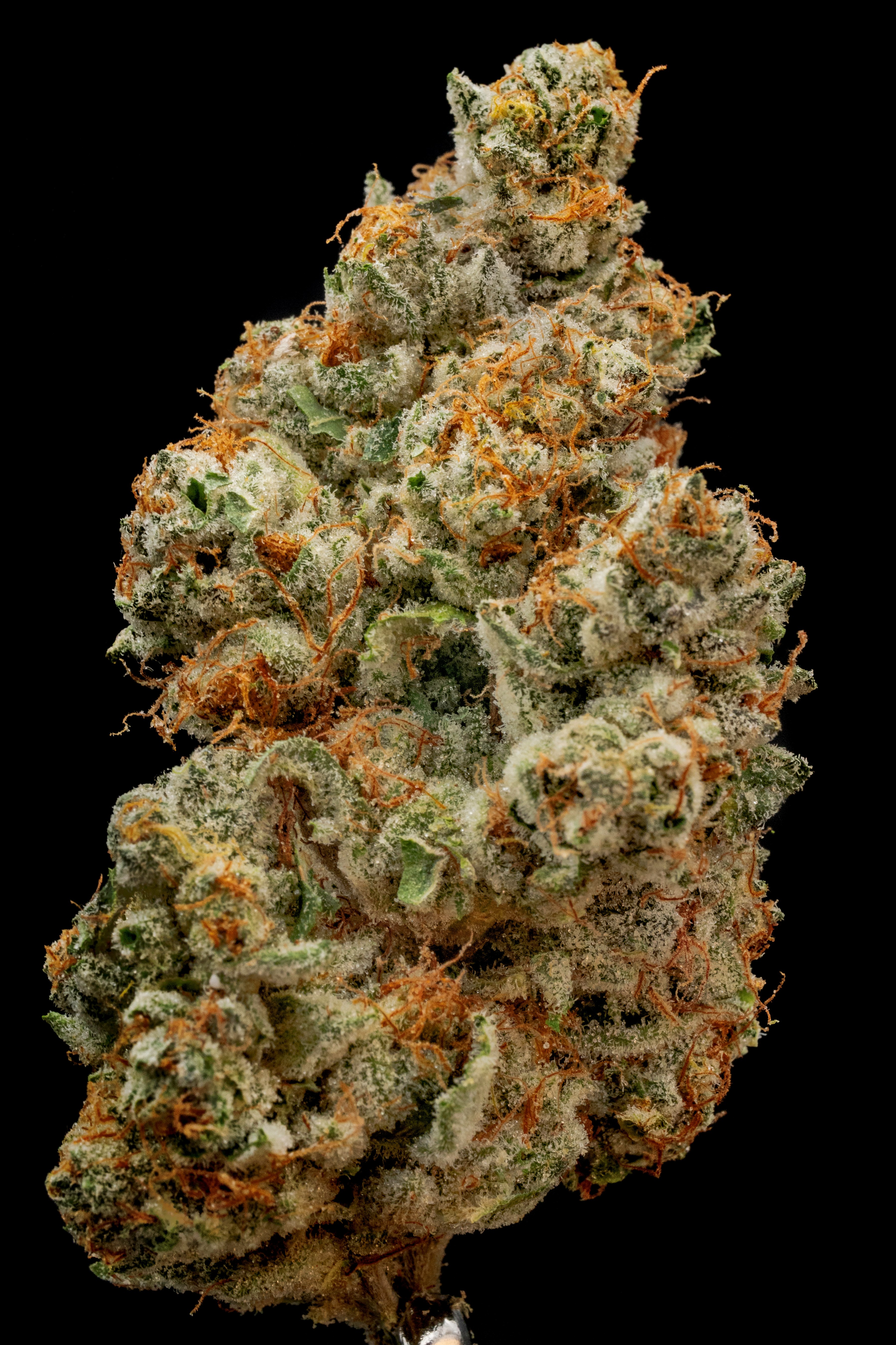 Photograph of product: Dragon Queen Bud - 3.5g