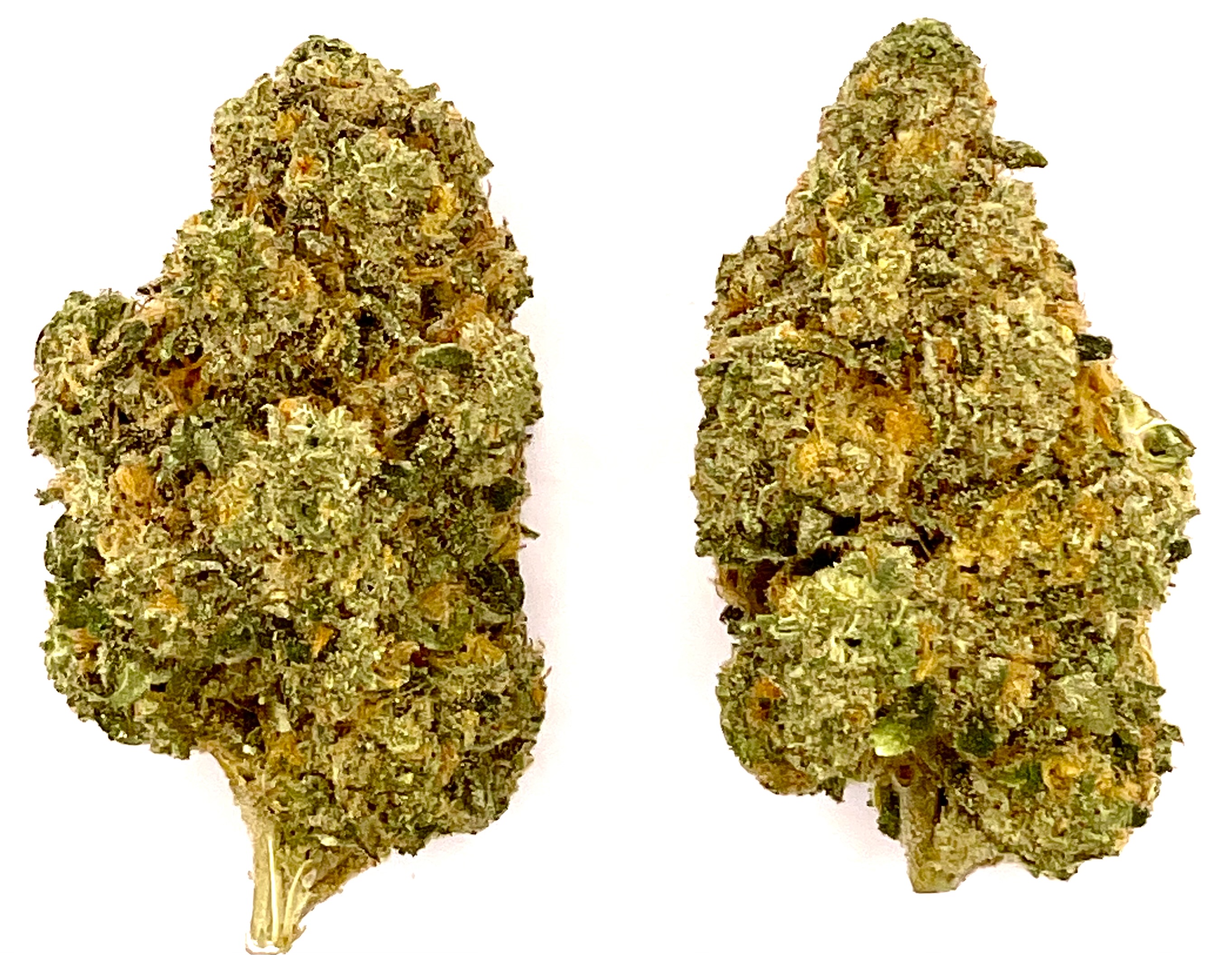 Photograph of product: Buds | Zerbert - 28g