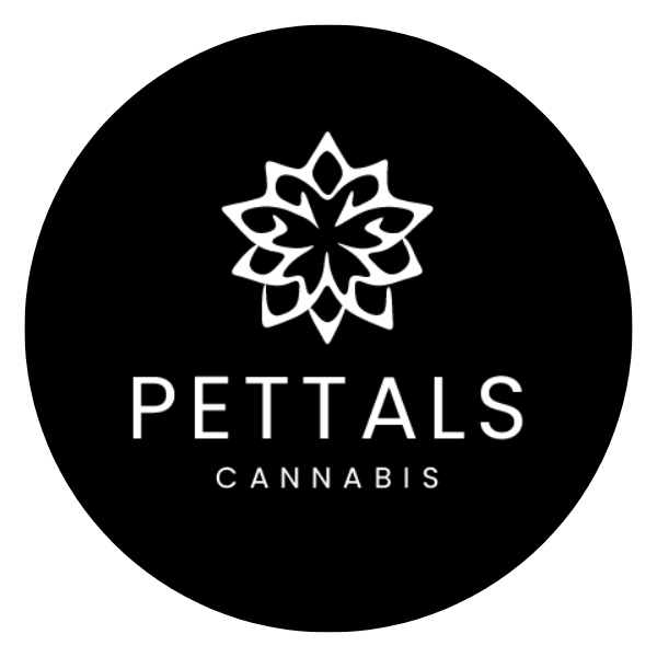 Photograph of product: Hat - Pettals | Pettals Beanie (Cream)