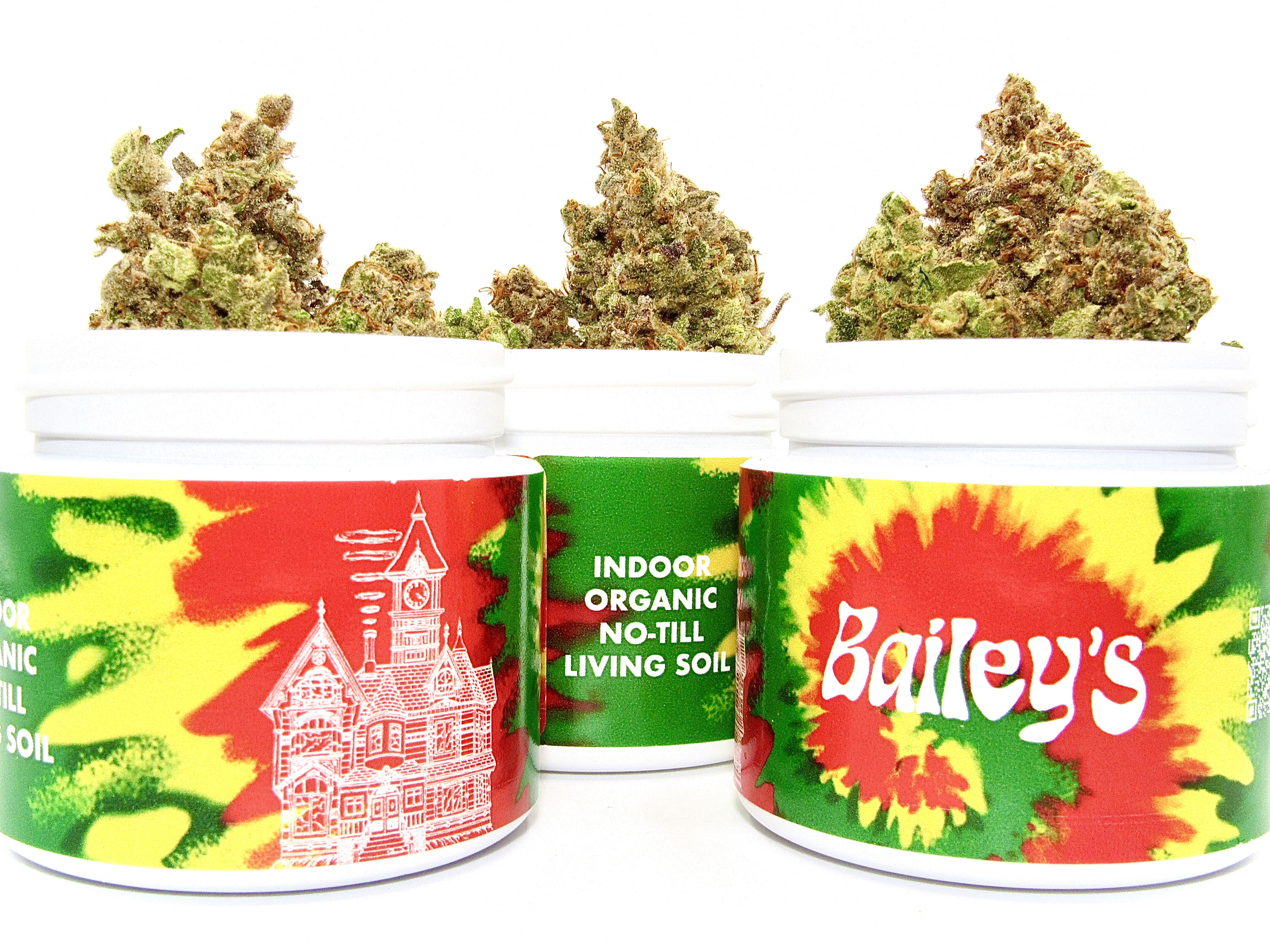 Photograph of product: Blue Dream Sour Jack | Bailey's Buds | - 3.5g