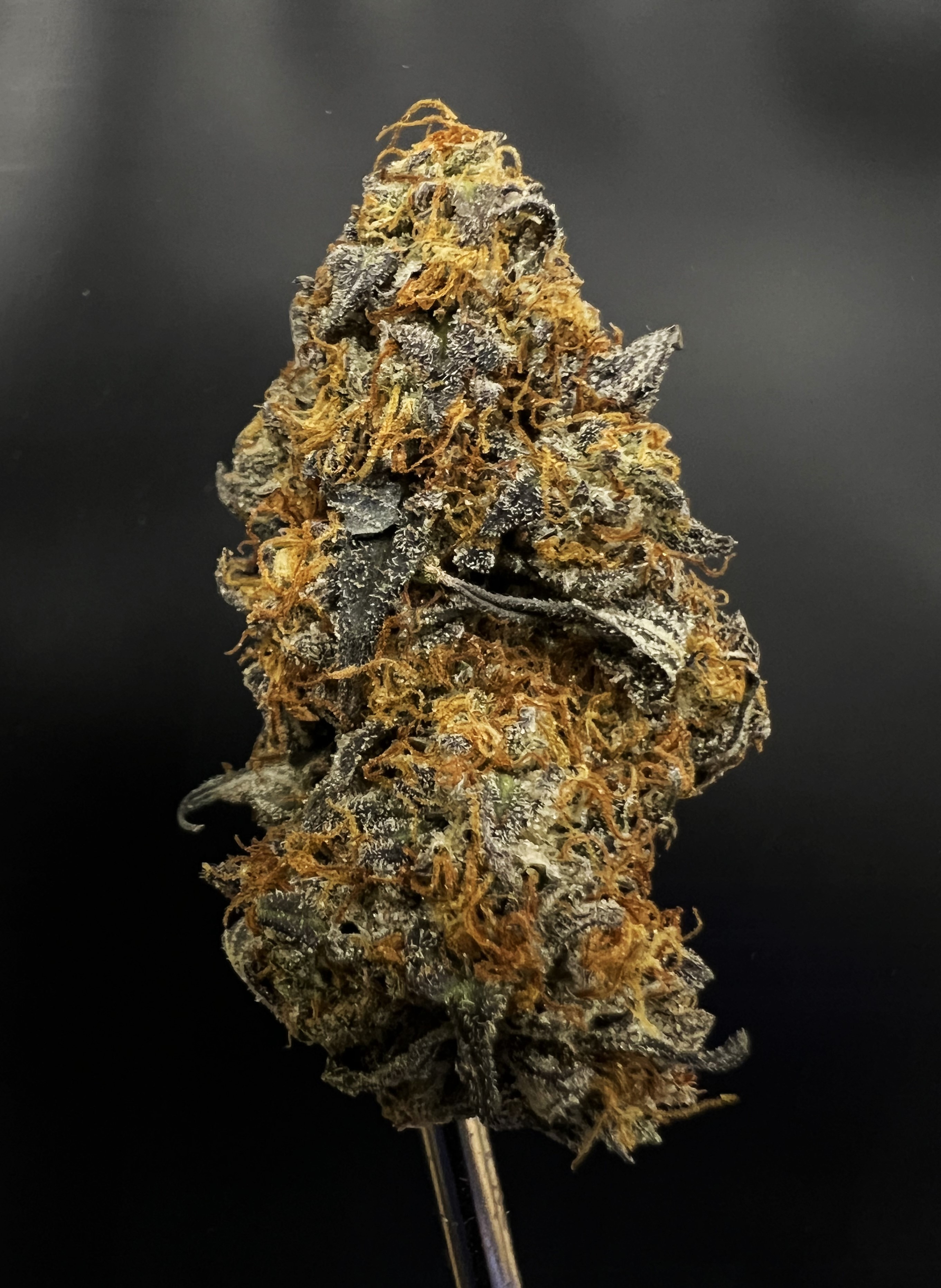 Photograph of product: Skunk Piss - 28g
