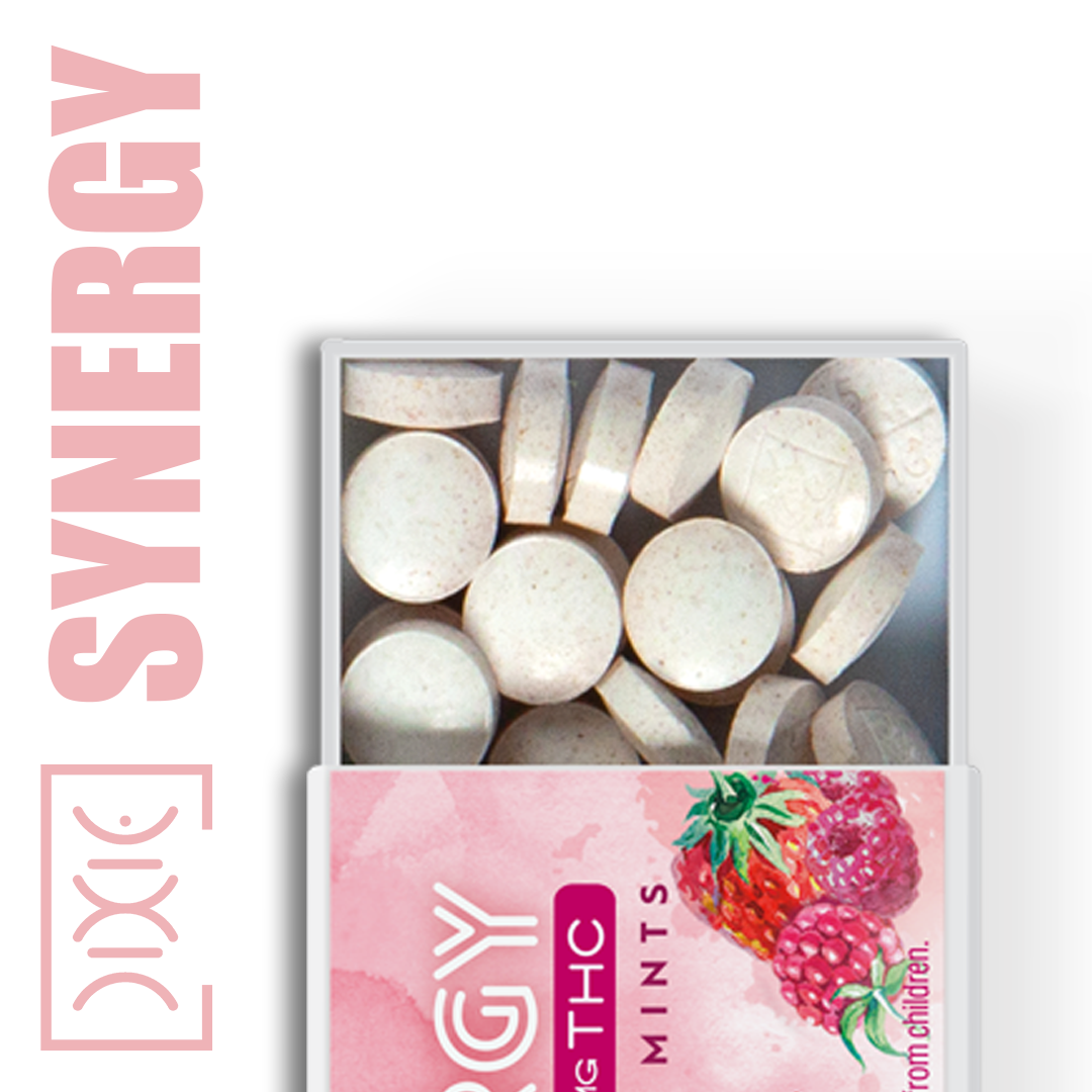 Photograph of product: Dixie - 100mg Mints - Peppermint