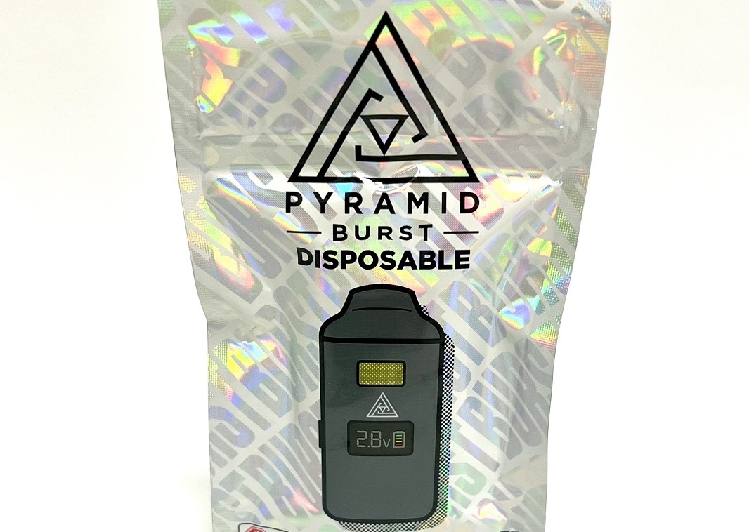 Photograph of product: Burst - Disposable Vape - Blueberry (H)