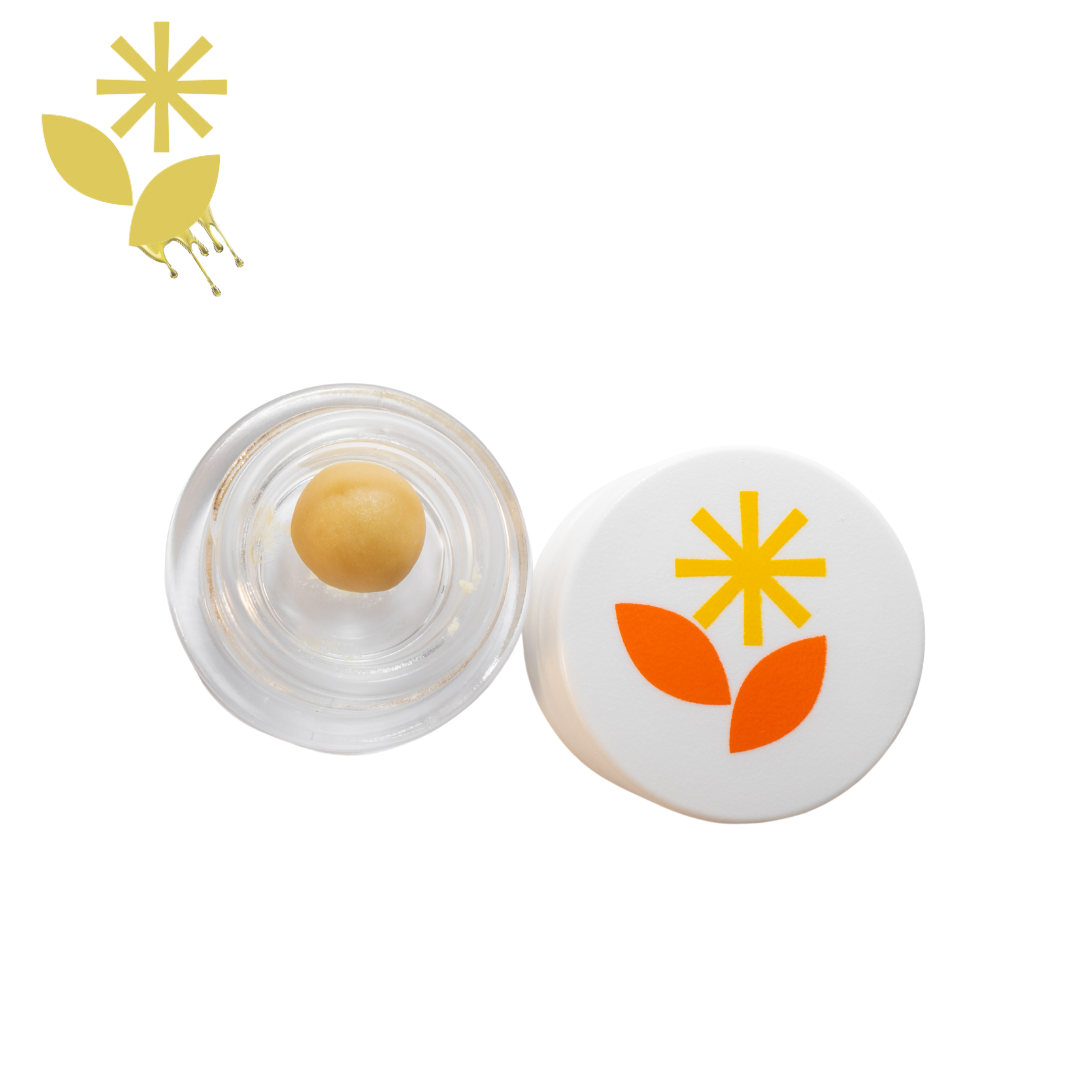Photograph of product: Papaya | Solventless Live Rosin | 1g