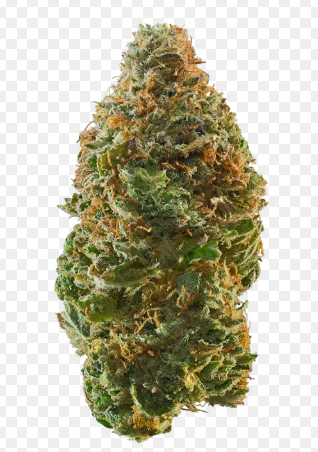 Photograph of product: Trop Gelato 3.5 G - 3.5g