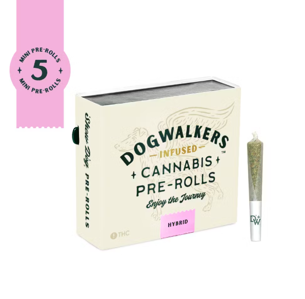 Photograph of product: Dogwalkers - Creamsicle Sunset 5pk - Infused Prerolls - 2.25g