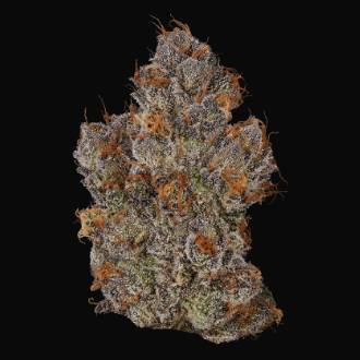 Photograph of product: COUCH RIDER EIGHTH