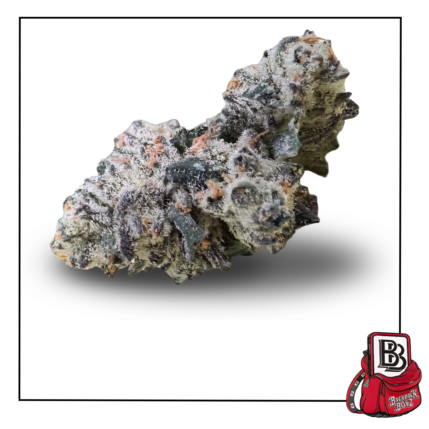 Photograph of product: Oreoz - Bulk Flower - 28g