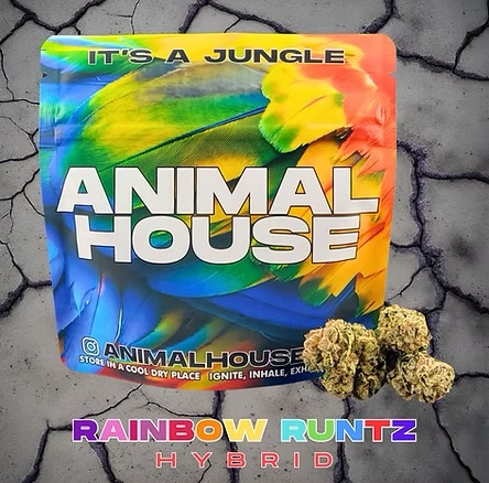 Photograph of product: Animal House | Rainbow Runtz | Flower | 3.5g