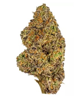 Photograph of product: State Flower | Pink Runtz 3.5g