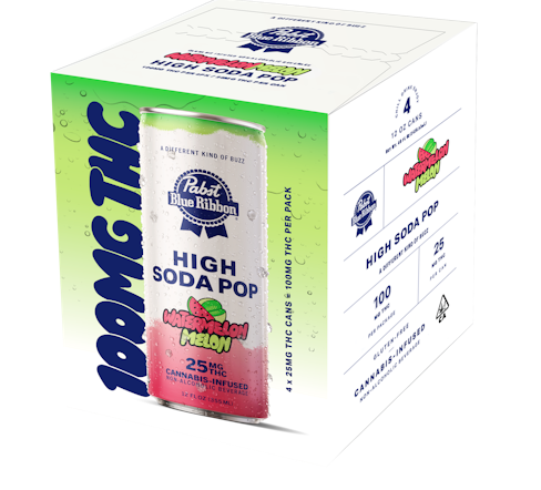 Photograph of product: WATERMELON MELON HIGH SODA 4PK
