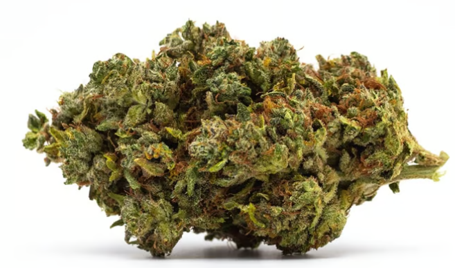 Photograph of product: GDF: Highway Hotel Popcorn Flower | Cookies | Oui'd Hybrid - 7g