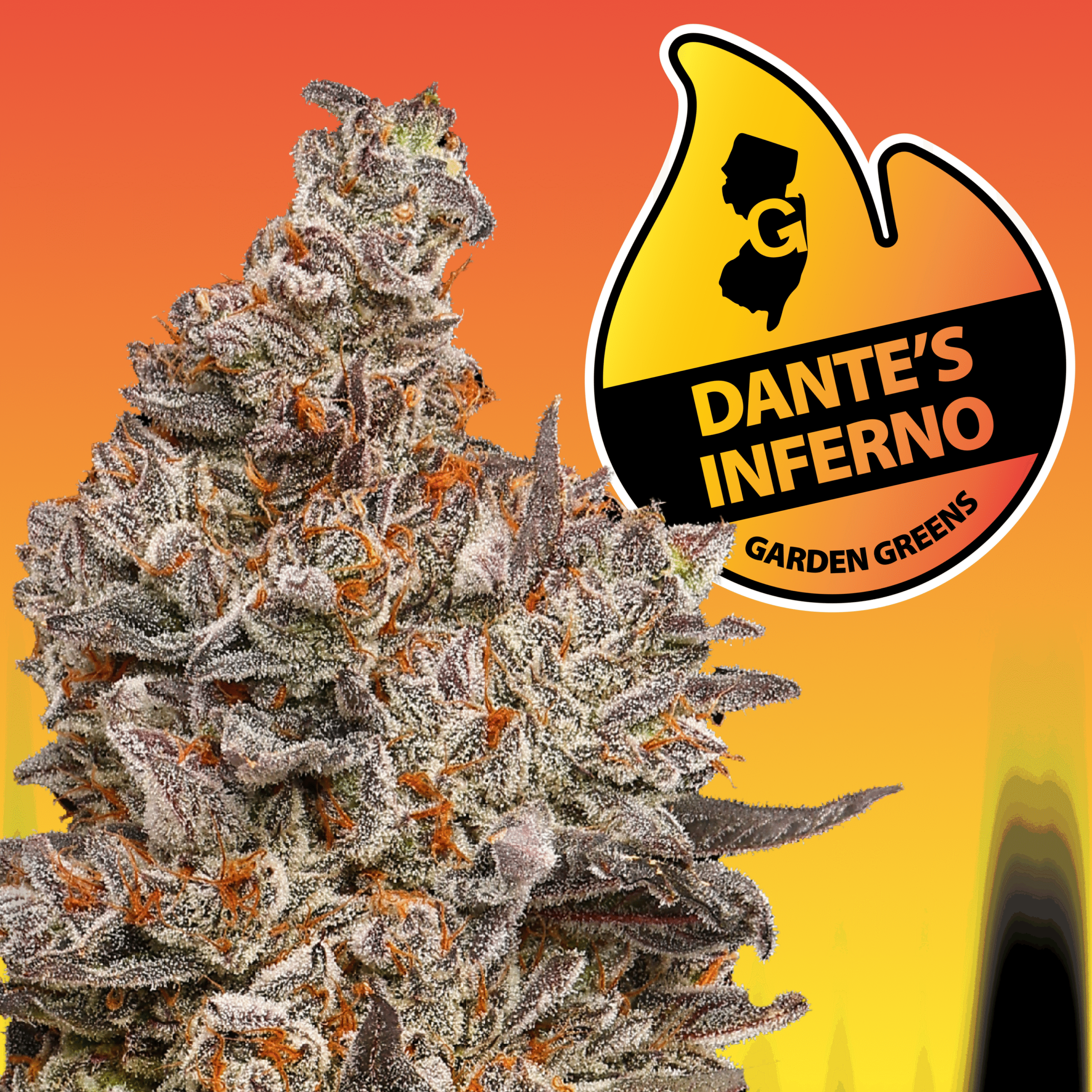 Photograph of product: Dante's Inferno | 3.5g | Garden Greens