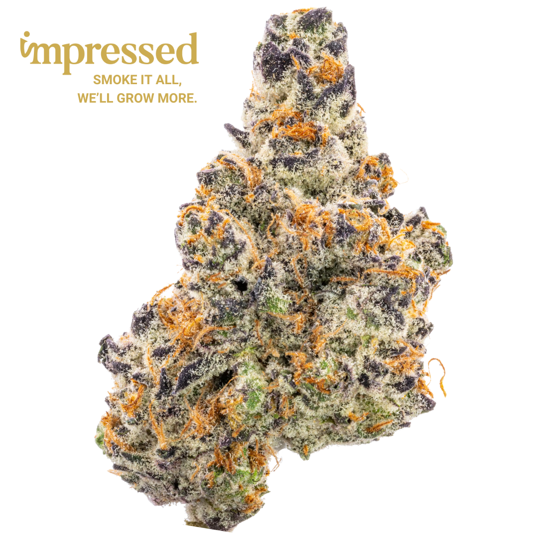 Photograph of product: Garlic Breath | Popcorn - 14g