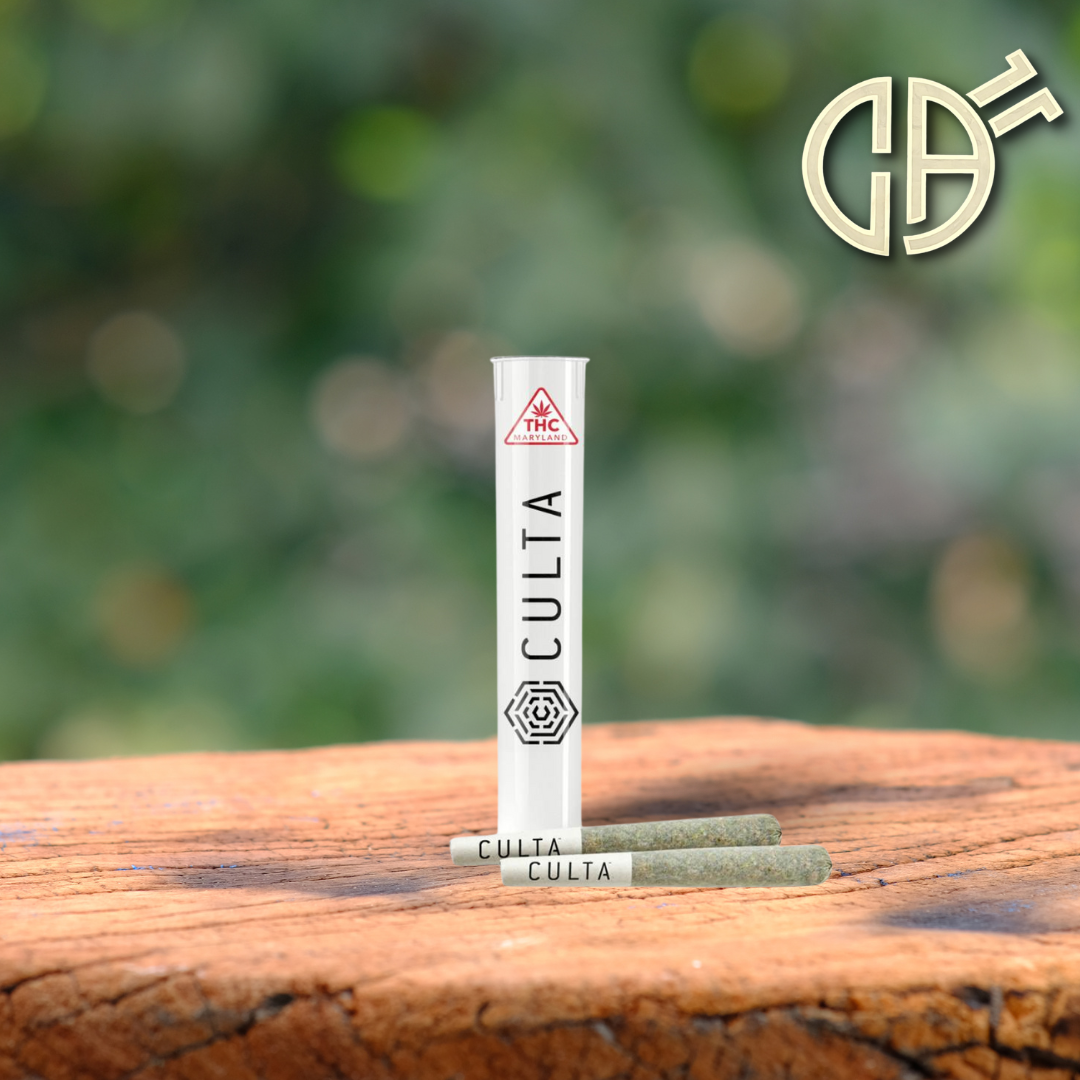 Photograph of product: Culta | Kennel Club 2pk PRJ