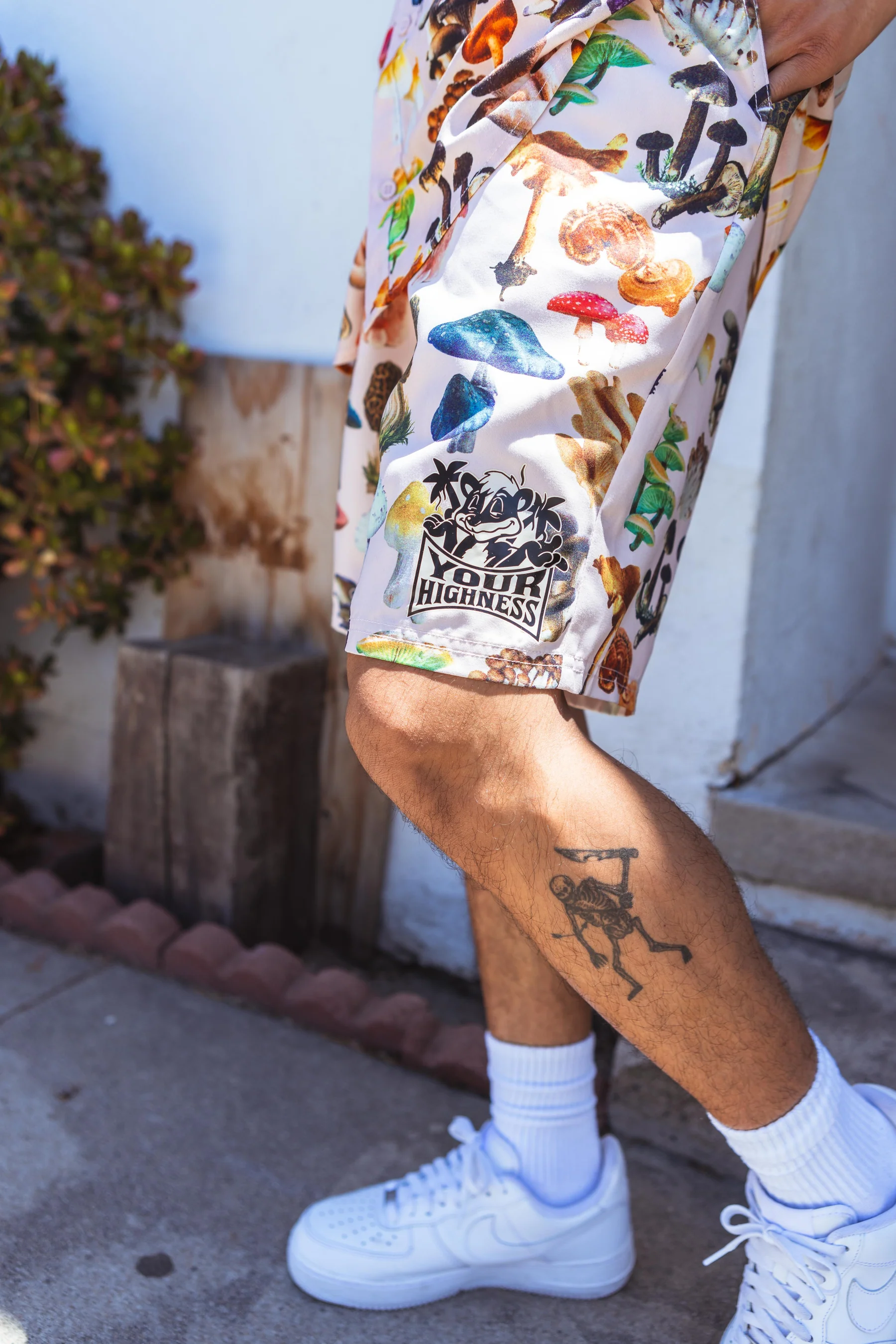 Photograph of product: Spores | Shorts - M